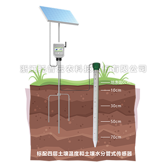 草莓视频污污免费APP剖面水分仪