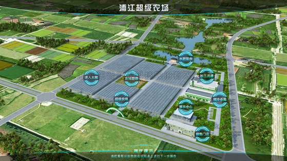 浦江超级农场：科技赋能让种植更高效