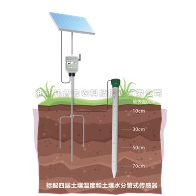 管式草莓视频污污免费APP墒情监测仪