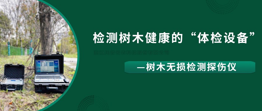 树木无损检测探伤仪精准检测树木健康状况，给出专业治疗方案