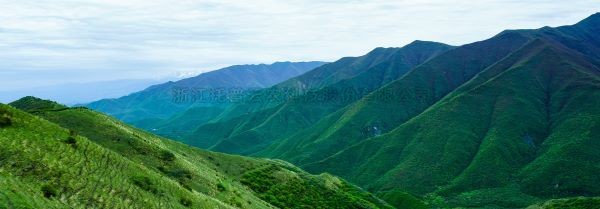 智慧护林有妙招，看太子山如何用科技守护森林