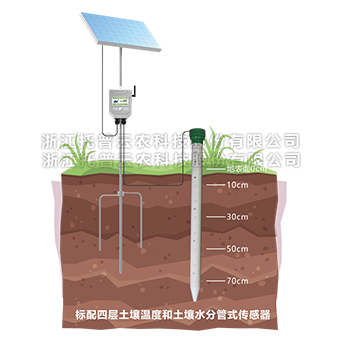 管式草莓视频污污免费APP水分测定仪详细介绍