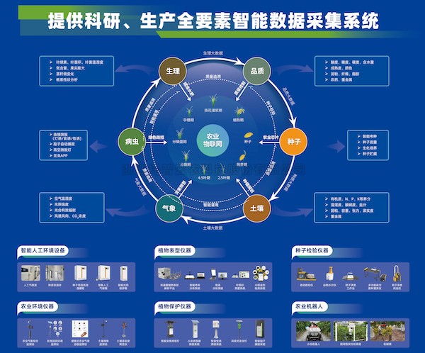 加速推动新质生产力发展，草莓视频在线免费为建设农业强国注智赋能