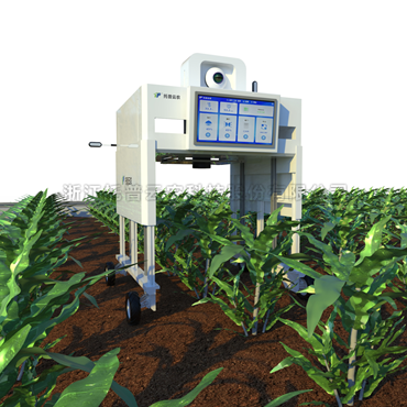 田间无人车式植物高通量表型采集分析平台 