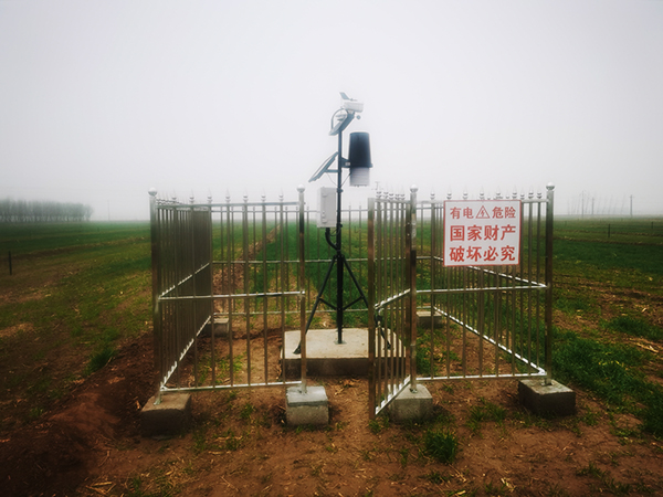 旱作节水，草莓视频在线免费助力书写山东农业发展新篇...