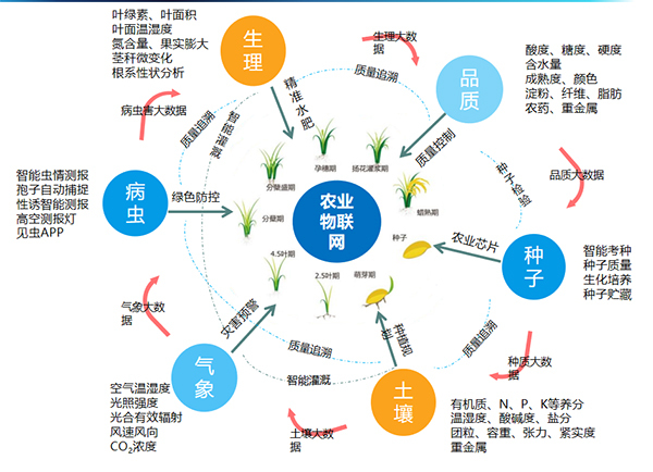 草莓视频在线免费打造的全要素智能采集系统