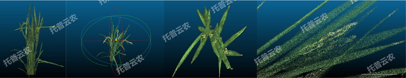 盆栽植物三维数字表型采集分析系统_副本.jpg